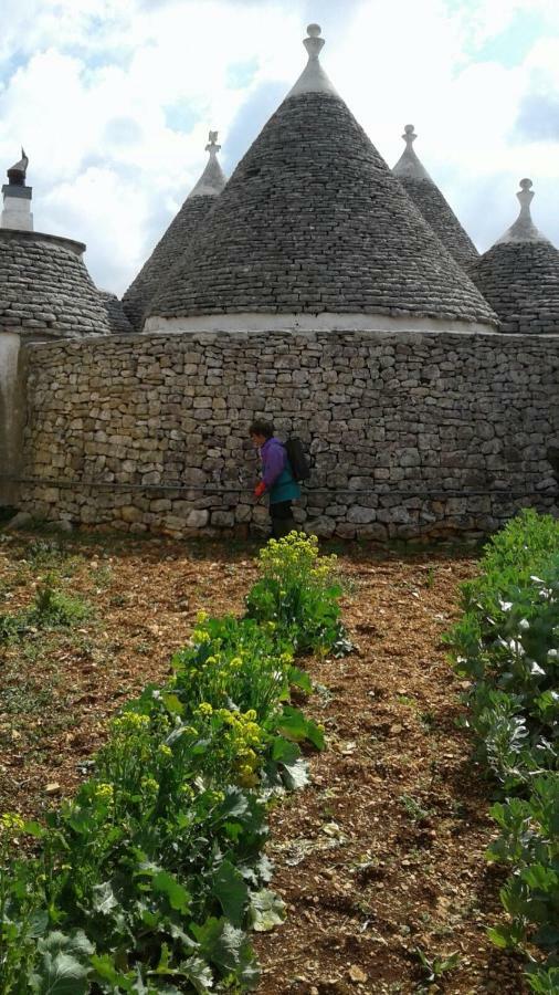 Trulli Di Nonna Palma Villa Locorotondo Bagian luar foto